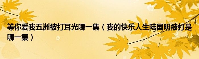 等你爱我五洲被打耳光哪一集（我的快乐人生陆国明被打是哪一集）