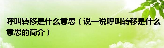 呼叫转移是什么意思（说一说呼叫转移是什么意思的简介）