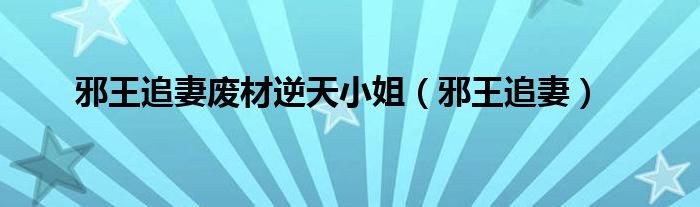 邪王追妻废材逆天小姐（邪王追妻）