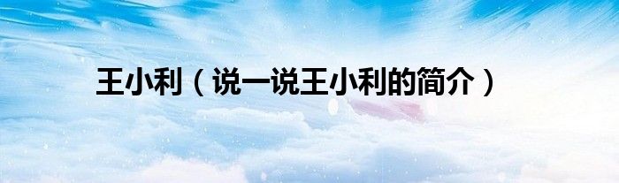 王小利（说一说王小利的简介）