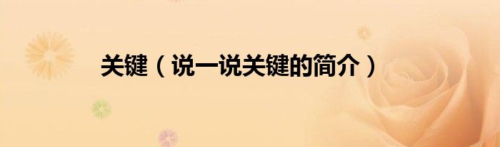 关键（说一说关键的简介）
