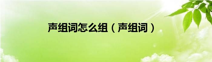 声组词怎么组（声组词）