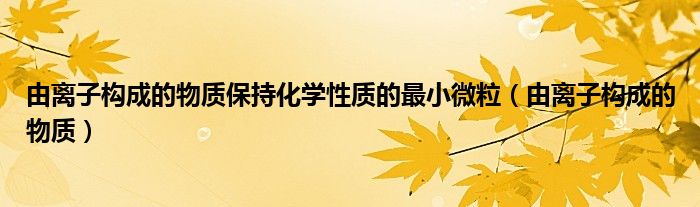 由离子构成的物质保持化学性质的最小微粒（由离子构成的物质）