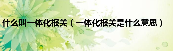 什么叫一体化报关（一体化报关是什么意思）