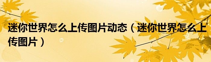迷你世界怎么上传图片动态（迷你世界怎么上传图片）