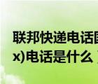 联邦快递电话国际物流（联邦国际快递(FedEx)电话是什么）