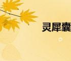 灵犀囊有什么用（灵犀囊）