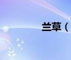 兰草（说一说兰草的简介）