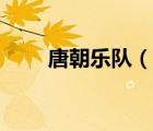 唐朝乐队（说一说唐朝乐队的简介）
