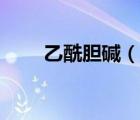 乙酰胆碱（说一说乙酰胆碱的简介）