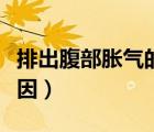 排出腹部胀气的最快方法（肠胃胀气是什么原因）
