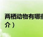 两栖动物有哪些（说一说两栖动物有哪些的简介）