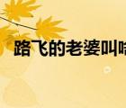 路飞的老婆叫啥（路飞的老婆第几集出现）