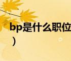 bp是什么职位的缩写（bp是什么意思的缩写）