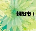 朝阳市（说一说朝阳市的简介）