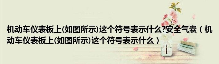 机动车仪表板上(如图所示)这个符号表示什么?安全气囊（机动车仪表板上(如图所示)这个符号表示什么）