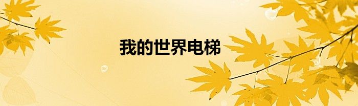 我的世界电梯