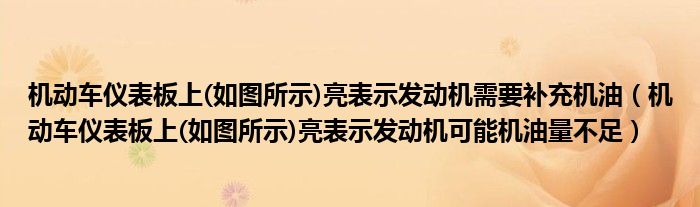 机动车仪表板上(如图所示)亮表示发动机需要补充机油（机动车仪表板上(如图所示)亮表示发动机可能机油量不足）