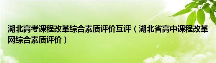 湖北高考课程改革综合素质评价互评（湖北省高中课程改革网综合素质评价）