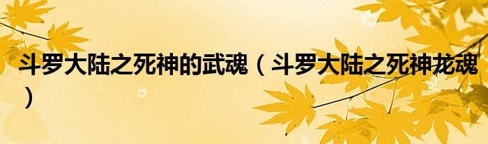 斗罗大陆之死神的武魂（斗罗大陆之死神龙魂）