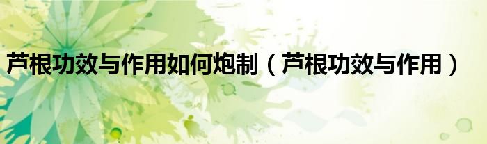 芦根功效与作用如何炮制（芦根功效与作用）