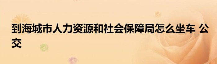 到海城市人力资源和社会保障局怎么坐车 公交
