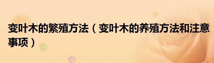 变叶木的繁殖方法（变叶木的养殖方法和注意事项）
