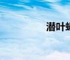 潜叶蝇怎么治（潜叶蝇）