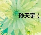 孙天宇（说一说孙天宇的简介）