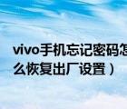 vivo手机忘记密码怎么恢复出厂设置（安卓手机忘记密码怎么恢复出厂设置）