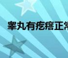 睾丸有疙瘩正常吗（睾丸有疙瘩怎么回事）