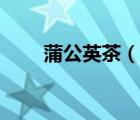 蒲公英茶（说一说蒲公英茶的简介）