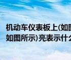 机动车仪表板上(如图所示)亮表示什么?P（机动车仪表板上(如图所示)亮表示什么）