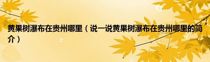 黄果树瀑布在贵州哪里（说一说黄果树瀑布在贵州哪里的简介）