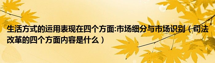 生活方式的运用表现在四个方面:市场细分与市场识别（司法改革的四个方面内容是什么）
