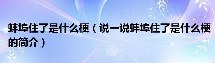 蚌埠住了是什么梗（说一说蚌埠住了是什么梗的简介）