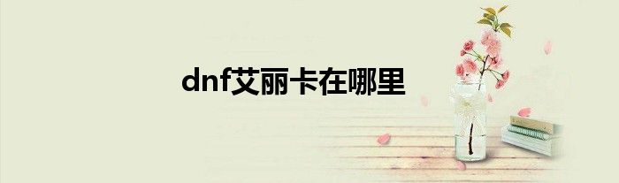 dnf艾丽卡在哪里