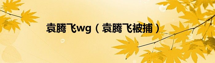 袁腾飞wg（袁腾飞被捕）