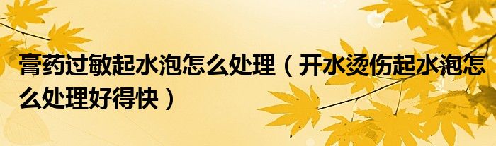 膏药过敏起水泡怎么处理（开水烫伤起水泡怎么处理好得快）