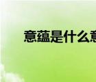 意蕴是什么意思呢（意蕴是什么意思）