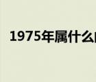 1975年属什么的（1975年属什么的 多大）