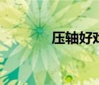 压轴好戏读音（压轴的读音）