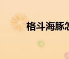 格斗海豚怎么单人玩（格斗海豚）