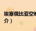埃塞俄比亚空难（说一说埃塞俄比亚空难的简介）