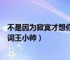 不是因为寂寞才想你吉他谱王小帅（不是因为寂寞才想你歌词王小帅）