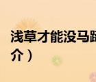 浅草才能没马蹄（说一说浅草才能没马蹄的简介）