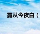 露从今夜白（说一说露从今夜白的简介）