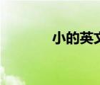小的英文怎么写（小的英文）