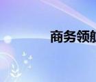 商务领航路由器（商务领航）