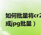 如何批量将cr2格式转换为jpg（cr2怎么转换成jpg批量）